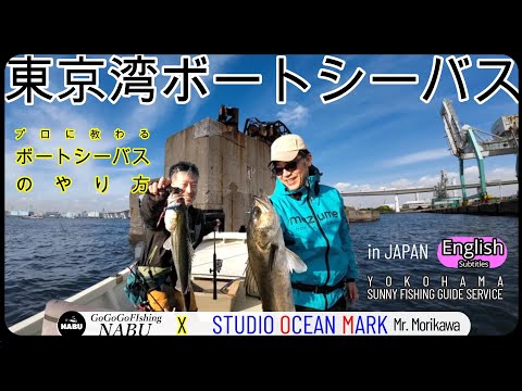 TOKYO BAY BOAT SEABASS in Japan   How to go Boat Seabass Studio Ocean Mark