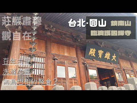 [台北慢慢走]中山/鎮南山臨濟護國禪寺🙏鳥兒也修行🕊百年古寺，市定古蹟✨最脫俗的散步路線😌 和花博公園一起走走走❤️