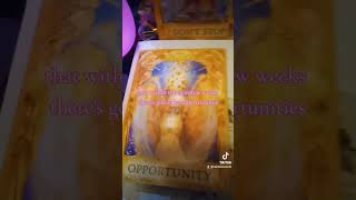 Angel 💓 Message for you 💗 #fy #tarot #angelmessages #fy #foryou #tarotreading #angelcards