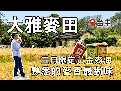 【台中秘境】熟悉的麥香最對味！三月限定網美景點『大雅麥田』 | 歐式古堡咖啡廳『富林園洋菓子』| Taiwan 🇹🇼 Travel