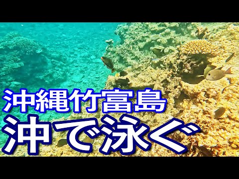 石垣島ゆる旅４日目（前編）竹富島沖でシュノーケリングを満喫