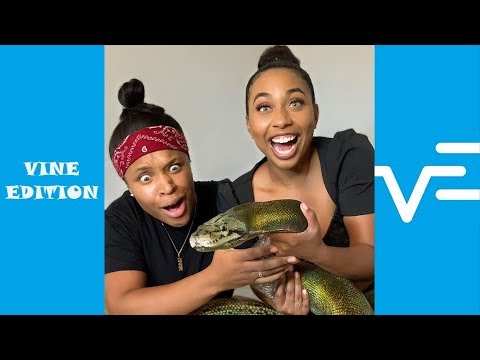 Funniest Natalie Odell Tiktok & Instagram Videos 2020 - Vine Edition✔