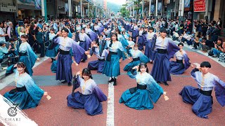 【8K】早稲田大学 東京花火『天つかさ』（湘南よさこい2024 / Tokyo Hanabi 2024 “Amatsukasa”）