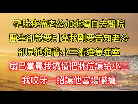 孕肚疼痛老公加班獨自去醫院，醫生卻說要引產我剛要告知老公，卻見他抱着小三衝進急症室，扇巴掌罵我矯情把牀位讓給小三，我咬牙一招讓他當場嚇癱