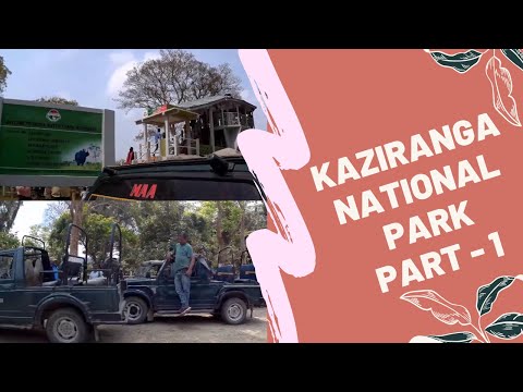 Kaziranga National Park blog Part 1 by DD Vlogs