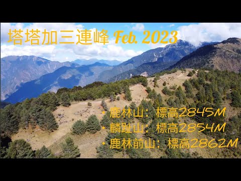 塔塔加三連峰-鹿林前山,鹿林山,麟趾山 4K, Feb  2023