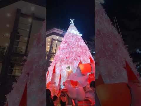 Yong artificial snow showers  looks real taas ng Christmas  tree xinyi district Taipie City Taiwan