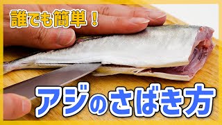 【どこよりも丁寧！】アジのさばき方♪プロが教える選び方&おすすめレシピも紹介