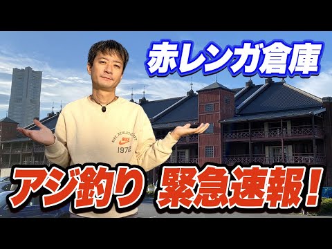 【横浜新港】緊急事態！これから赤レンガ倉庫前にサビキ釣りに行く予定の方は絶対に見て！