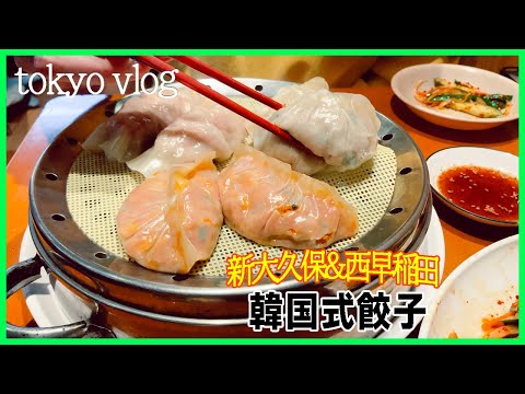 ❤️‍🔥 新大久保 韓国人VLOG🇰🇷 ⌇おすすめポチャで餃子＆トッポギ🍺⌇ 早稲田 巨大 肉じゃが定食おすすめ🥔⌇