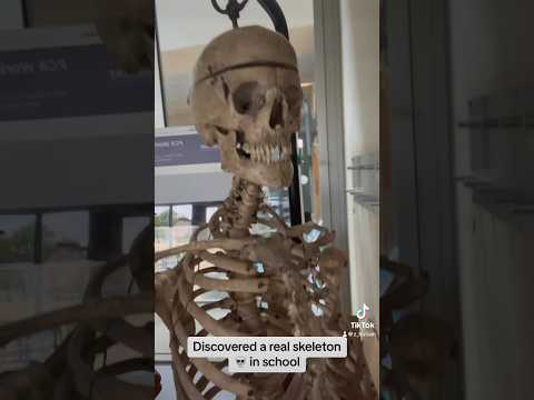 Discovered a real skeleton in school #skeleton #science #school #classroom#teacher #student #biology