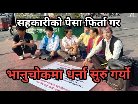 सहकारीको पैसा फिर्ता गर भन्दै राजेश खिम्दुङको भानुचोकमा धर्ना | dharna | #news