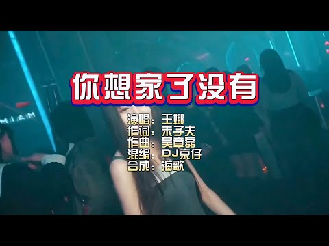 王娜《你想家了没有》DJ京仔 KTV 导唱字幕 （备有伴奏视频）