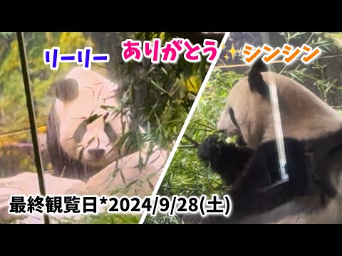 【たくさんの思い出をありがとう☺️リーリー＆シンシン🐼最終観覧日🌱】〜2024/9/28(土)上野動物園〜