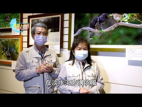 【台中市】鳥類生態攝影與繫放鳥調查｜環境保護｜367｜#美麗心台灣