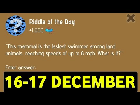 Riddle Of The Day Zoo 16 December ｜ Zoo Riddle Of The Day ｜ Riddle Of The Day Zoo