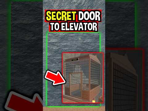 SECRET ELEVATOR LOCATION in Roblox Fisch..