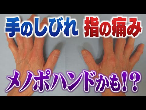 それって「メノポハンド」かも？手のしびれや指の痛み　更年期女性は特に注意　発症抑える3つのストレッチ法 （2024.6.17放送）