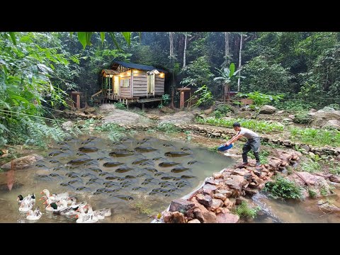 Living alone in the forest, building streams into fish ponds, gardening, raising chickens and ducks