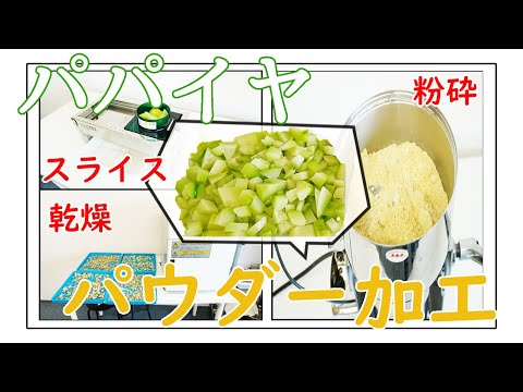 【スライス・乾燥・粉砕】パパイヤをパウダー加工