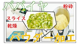 【スライス・乾燥・粉砕】パパイヤをパウダー加工