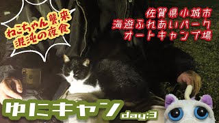 【キャンプ】激しい猫がいるキャンプ場🐈連続アタックにつきご飯食べられない…😢【海遊ふれあいオートキャンプ場】