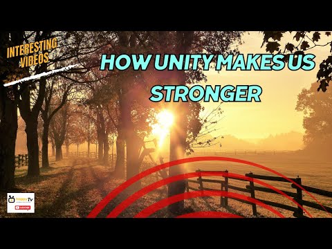 The Unbreakable Chain: How Unity Makes Us Stronger