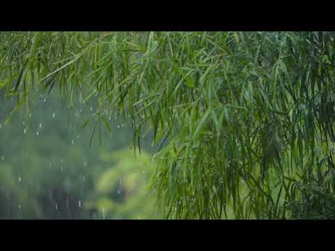 Relaxing Rain Music For Stres Relief, Study, That Heals The MIND -Piano Ambience (4HOURS)Ploaie,Pian