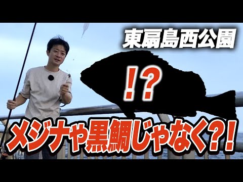 【東扇島西公園】視聴者さんのナイス釣果に遭遇！魚種の豊富さよ...