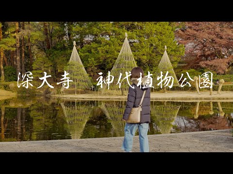 【正月散歩】深大寺　神代植物公園　New Year's Walk　Jindaiji &Jindai Botanical Park