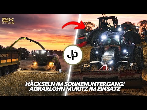 800HA GPS chopping at Agrarlohn Müritz! Jaguar 990 & Fendt! || JP Agriculture