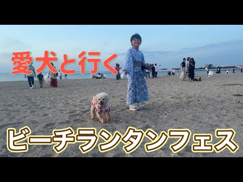 犬と行くビーチランタンフェス泉州が最高でした