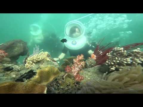 海底漫步+浮潛🤿活動 #占婆島 🏝️🐟 從會安、峴港出發