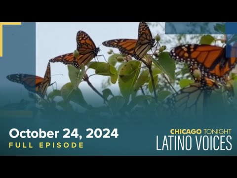 October 24, 2024 Full Episode — Chicago Tonight: Latino Voices