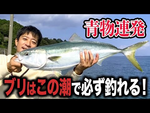 【山口鰤釣り遠征】大型青物連発！ブリが食う潮(タイミング)を釣果をもって解説 これが最重要ポイント！