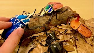 【Gachapon in Japan】BEETLE capsule toy