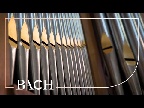 Bach - Jesus Christus, unser Heiland BWV 688 - Smits | Netherlands Bach Society