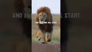 Lion Attitude shayari status Shayari status Attitude shayari #youtubeshorts#viral#shayari#shorts