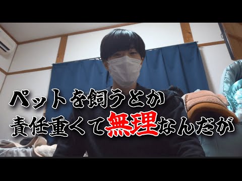 ペットを飼えない人間が見た人間と動物の素敵な関係