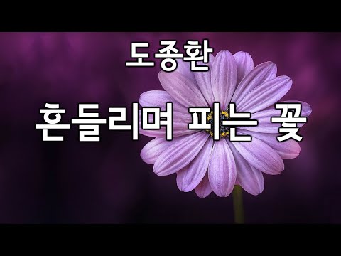 [시 낭송] 도종환 - 흔들리며 피는 꽃 / 낭독  - 무사이musai