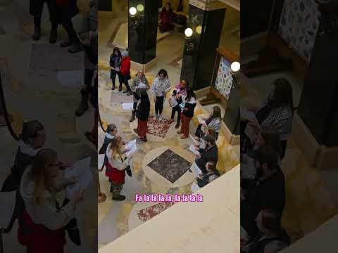 CODEPINK Madison Drops Banner in Capitol Rotunda