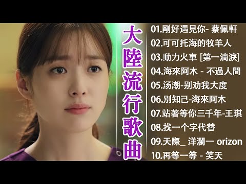 2024流行歌曲【無廣告】❤️2024中国大陸流行歌曲❤️Top Chinese Songs 2024❤️红颜知己 - 邹丰, 酒醉的蝴蝶 ,可可托海的牧羊人,海来阿木 - 点歌的人, 你的万水千山