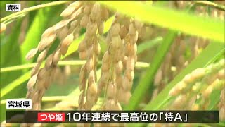 宮城県産“つや姫”が10年連続で「特Ａ」コメの食味ランキング