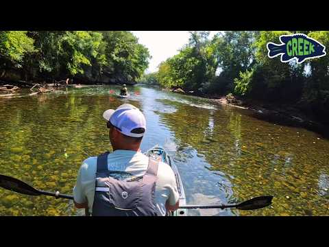 This Crystal Clear River Has GIANT BASS!!