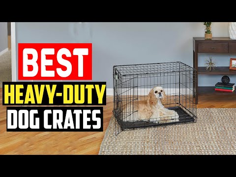 ✅Top 5 Best Heavy Duty Dog Crates for Escape Artists and Chewers in 2024