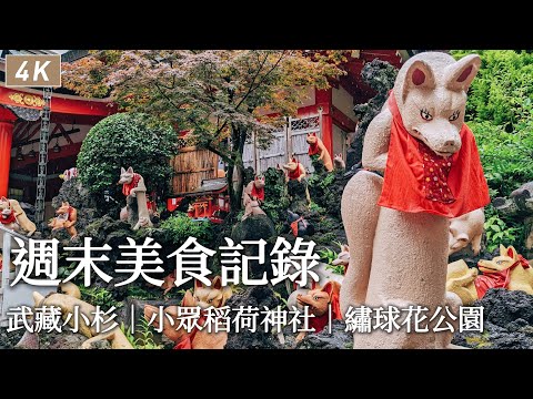 Japan vlog｜Musashi-Kosugi、Shinmaruko gourmet、Inari Shrine、Hydrangea Garden