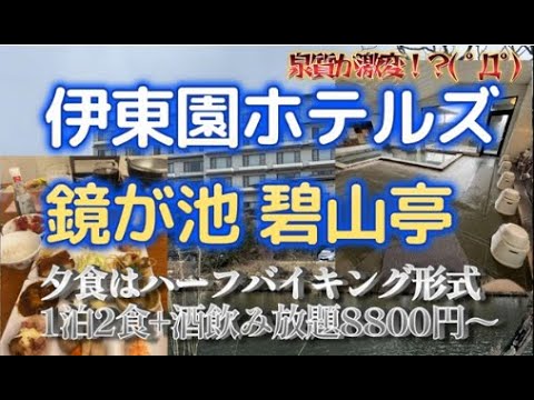 伊東園ホテルズ 鏡が池 碧山亭【系列一の温泉が激変⁉( ﾟДﾟ）夕食はハーフバイキング】