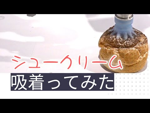 【吸着ってみた】シュークリーム【コンバム】