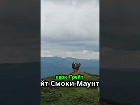 Путешествие через живописные леса и величественные горы! 🌲🏔️