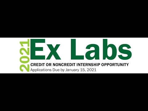 Ex Labs Internship: What's it all about and what's in it for me?